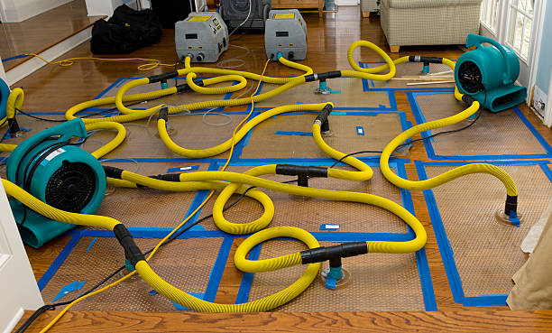 Professional Crawl Space Water Removal technician working in Milton, NY